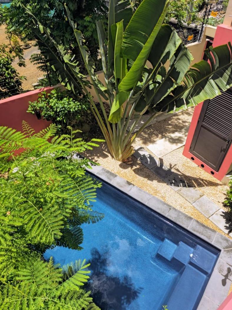 Villa Centre Grand Bay Εξωτερικό φωτογραφία